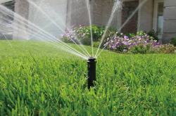植物にとって大切な水やりを効率良くする自動散水システム 外構 エクステリア 造園は庭づくり専門店 愛知県扶桑町 池之上造園へ