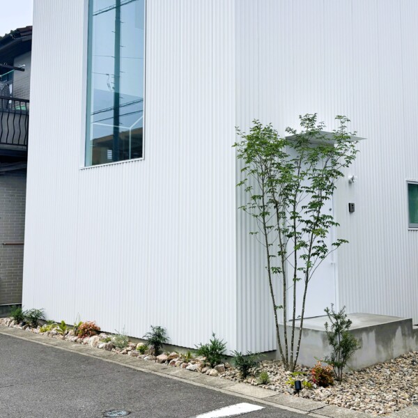 植栽工事③